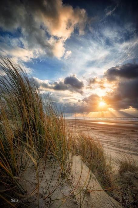 Vue Mer Berck Buitenkant foto